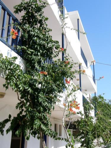 Bay Watch Aparthotel Karpathos Town  Exterior photo